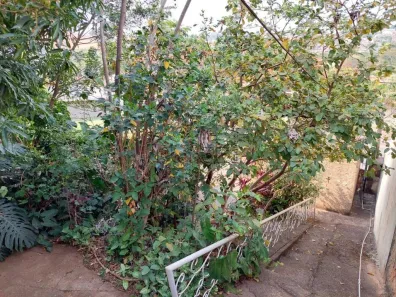 Lote/Terreno à venda, 270m² no Jardim Carlos Lourenço, Campinas