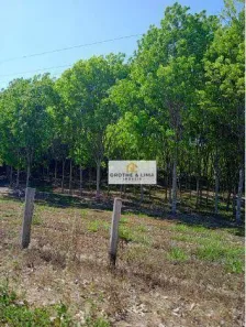 Fazenda/Sítio com 10 Quartos à venda, 1000m² no , Montividiu