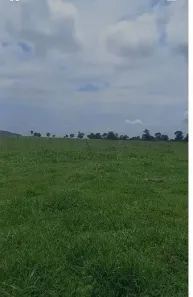 com 3 Quartos à venda, 480m² no , Jussara