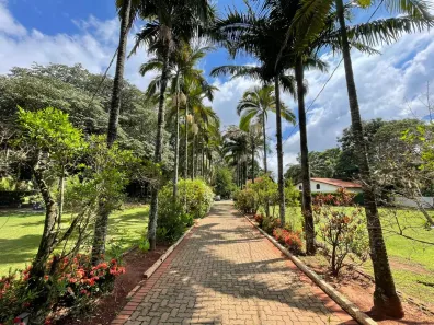 Fazenda/Sítio com 5 Quartos à venda, 800m² no Loteamento Chácaras Vale das Garças, Campinas