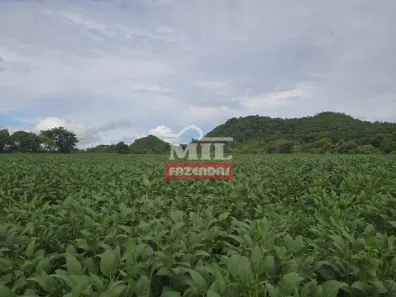 Fazenda/Sítio à venda, 1m² no , Barro Alto