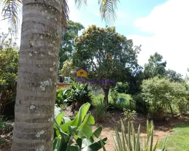 Lote/Terreno à venda, 1000m² no Curral, Ibiúna