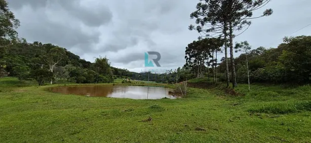 Fazenda/Sítio com 3 Quartos à venda, 1m² no , Silveiras