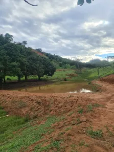 Fazenda/Sítio à venda, 121000m² no Itabirinha, Itabirinha