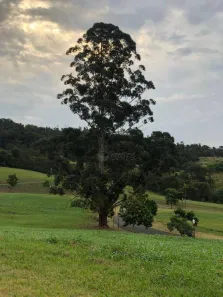 Lote/Terreno à venda, 1196m² no Terras De Santa Teresa, Itupeva