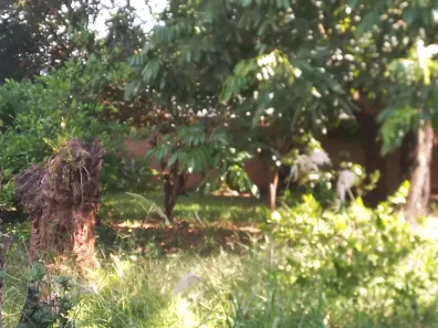 Fazenda/Sítio com 5 Quartos à venda, 370m² no Campestre, Piracicaba