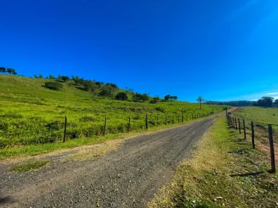 Fazenda/Sítio com 3 Quartos à venda, 1573000m² no Centro, Itapira