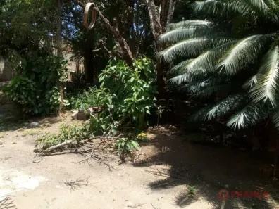 Fazenda/Sítio com 3 Quartos à venda, 110m² no Cidade Salvador, Jacareí