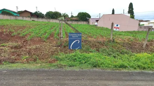 Lote/Terreno à venda, 600m² no Vila Purcina, Rebouças