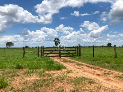 Fazenda/Sítio com 1 Quarto à venda, 2470000m² no Área Rural de Campo Grande, Campo Grande