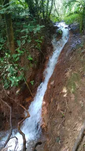 Lote/Terreno à venda, 30000m² no , Brumadinho