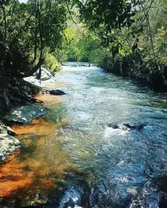 Fazenda/Sítio com 1 Quarto à venda, 15000m² no , Chapada dos Guimarães