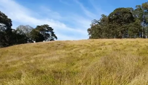 Lote/Terreno à venda, 20000m² no , Nazaré Paulista
