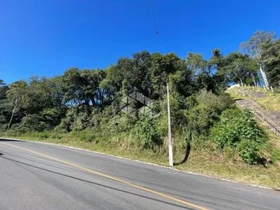 Lote/Terreno à venda, 1953m² no Simonaggio, Garibaldi