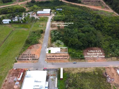 Lote/Terreno à venda, 355m² no Monte Bérico, Caxias do Sul