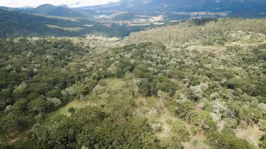Fazenda/Sítio à venda, 350000m² no Águas Brancas, Urubici