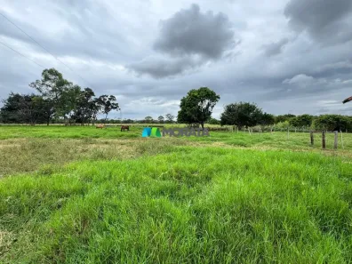 Fazenda/Sítio com 1 Quarto à venda, 45m² no Tomás Gonzaga, Curvelo