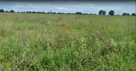 Fazenda/Sítio com 1 Quarto à venda, 12196800m² no , Jussara