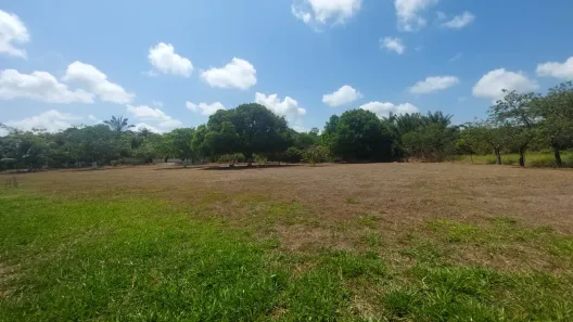 Fazenda/Sítio com 3 Quartos à venda, 16071m² no Muribeca, Jaboatão dos Guararapes