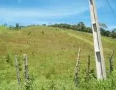 Fazenda/Sítio à venda, 60000m² no , Bocaiúva do Sul
