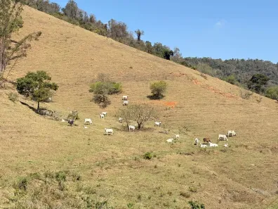 Fazenda/Sítio com 3 Quartos à venda, 220m² no Bairro do Cambará, São Roque