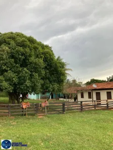 Fazenda/Sítio com 3 Quartos à venda, 7m² no Centro, Edéia