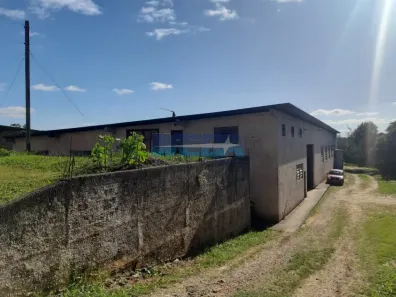 Galpão/Depósito/Armazém para alugar, 1187m² no Barro Preto, São José dos Pinhais