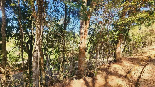 Lote/Terreno à venda, 1607m² no Centro, Simão Pereira