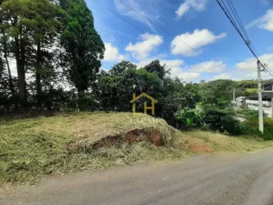 Lote/Terreno à venda, 180m² no Água Espraiada (Caucaia do Alto), Cotia