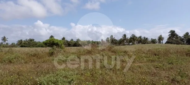 Lote/Terreno à venda, 9600m² no Centro, Barra dos Coqueiros