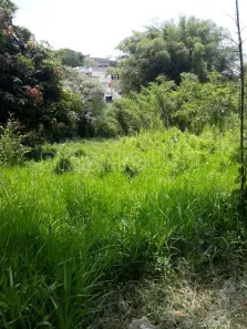 Lote/Terreno à venda, 4234m² no Jardim São Marcos, Embu das Artes