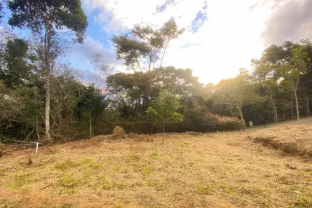 Lote/Terreno à venda, 332m² no São Pedro, Juiz de Fora
