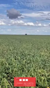 Fazenda/Sítio à venda, 35000000m² no , Riachão das Neves