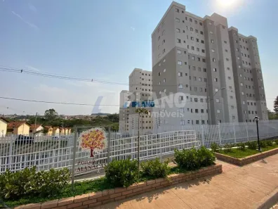 Apartamento com 2 Quartos à venda, 47m² no Recreio São Judas Tadeu, São Carlos