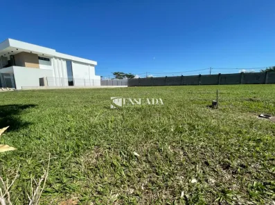 Lote/Terreno à venda, 508m² no Jacuhy, Serra