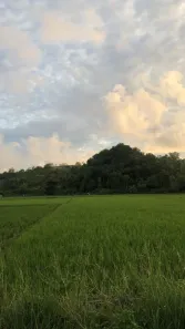 Fazenda/Sítio à venda, 500m² no Ibiúna, Ibiúna