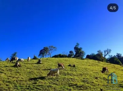 Fazenda/Sítio com 1 Quarto à venda, 363000m² no CENTRO, Tijucas do Sul