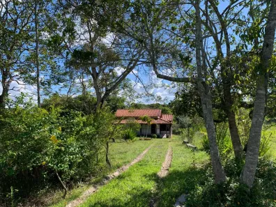Fazenda/Sítio com 3 Quartos à venda, 22000m² no , Santa Luzia