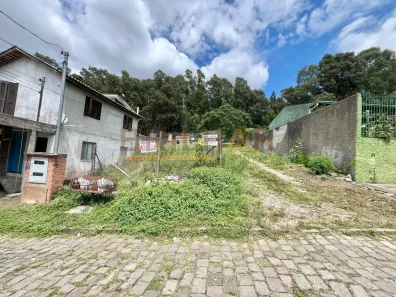 Lote/Terreno à venda, 279m² no São Ciro, Caxias do Sul