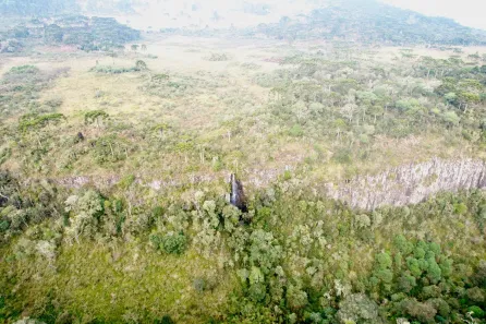Fazenda/Sítio à venda, 10500m² no , Urubici