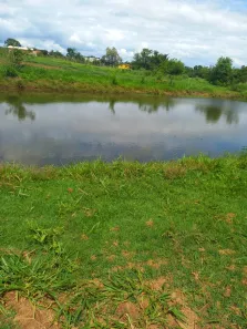 Fazenda/Sítio com 1 Quarto à venda, 48400m² no , Cesário Lange
