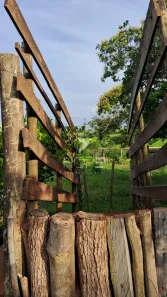 Fazenda/Sítio com 3 Quartos à venda, 48400m² no Zona Rural, Taciba