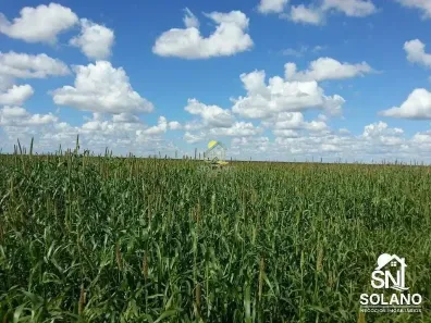 Fazenda/Sítio com 3 Quartos à venda, 40000m² no , Cocos