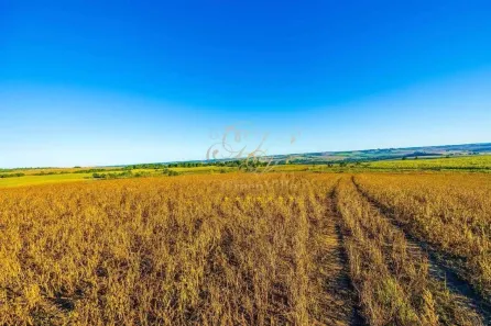 Fazenda/Sítio com 1 Quarto à venda, 300000m² no Colônia Dona Luíza, Ponta Grossa