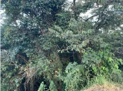 Lote/Terreno à venda, 1060m² no Veredas das Geraes, Nova Lima