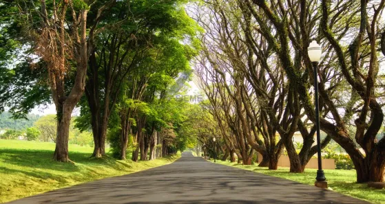 Lote/Terreno à venda, 1220m² no São Pedro, Itupeva