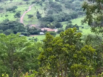 Fazenda/Sítio com 5 Quartos à venda, 3097600m² no , Orizona