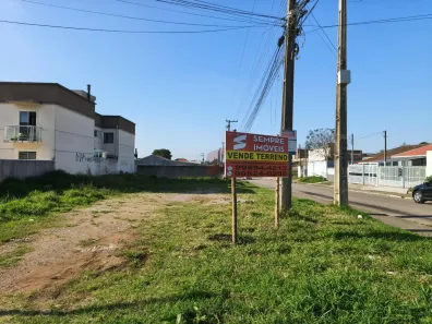 Lote/Terreno à venda, 507m² no Roseira de São Sebastião, São José dos Pinhais