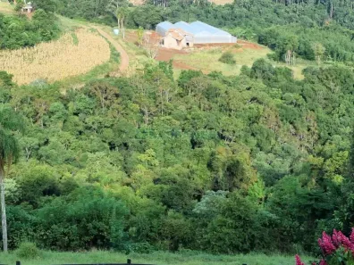 Lote/Terreno à venda, 30000m² no , Nova Petrópolis