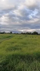 Fazenda/Sítio à venda, 114m² no Centro, Araguaiana